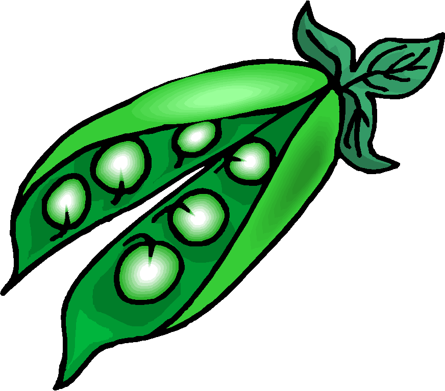Pea Plant Clip Art